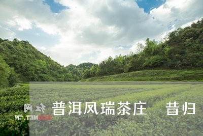 普洱凤瑞茶庄 昔归/2023041443949